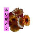 紙な花たちの言葉（個別スタンプ：4）