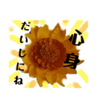 紙な花たちの言葉（個別スタンプ：5）