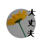 紙な花たちの言葉（個別スタンプ：6）