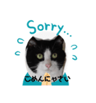 チビ太くんのスタンプです②（個別スタンプ：2）