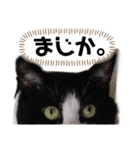 チビ太くんのスタンプです②（個別スタンプ：3）