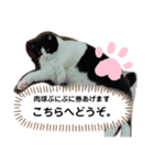 チビ太くんのスタンプです②（個別スタンプ：5）