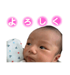 HAYATEくん（個別スタンプ：4）