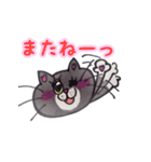 lunacatsセレクション（個別スタンプ：14）