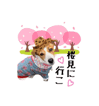 みかんのご挨拶♡（個別スタンプ：6）