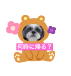 愛犬スタンプ うめぷー、ぼぶむさ（個別スタンプ：1）