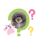 愛犬スタンプ うめぷー、ぼぶむさ（個別スタンプ：8）