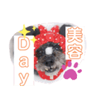 愛犬スタンプ うめぷー、ぼぶむさ（個別スタンプ：14）
