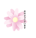 みーきょスタンプ's   8（個別スタンプ：1）