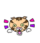 catcatcat6（個別スタンプ：30）