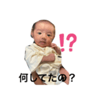 HINAbaby スタンプ（個別スタンプ：5）