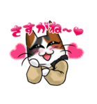 ねこねこメモリアルvol.3（個別スタンプ：19）