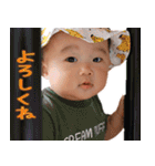 ゆらぎ 2020（個別スタンプ：31）