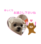 ミルクちゃんの家族スタンプ（いぬ）7（個別スタンプ：5）