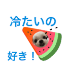 ミルクちゃんの家族スタンプ（いぬ）7（個別スタンプ：6）
