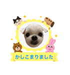 ミルクちゃんの家族スタンプ（いぬ）7（個別スタンプ：12）
