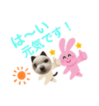 ミルクちゃんの家族スタンプ（いぬ）7（個別スタンプ：14）