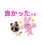 ミルクちゃんの家族スタンプ（いぬ）7（個別スタンプ：22）