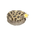 ウサギとトカゲ（個別スタンプ：1）
