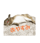 ウサギとトカゲ（個別スタンプ：3）