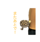 ウサギとトカゲ（個別スタンプ：4）