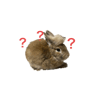 ウサギとトカゲ（個別スタンプ：8）