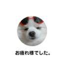 めちゃくちゃ可愛いルルとマロン（個別スタンプ：3）