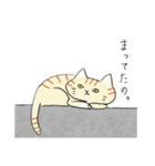 ひねもすねこ。（個別スタンプ：5）