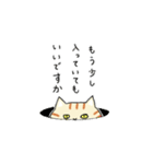 ひねもすねこ。（個別スタンプ：16）