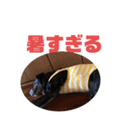 ひたすらロック愛（個別スタンプ：10）