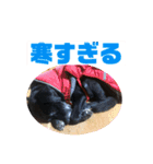 ひたすらロック愛（個別スタンプ：11）