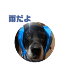 ひたすらロック愛（個別スタンプ：14）