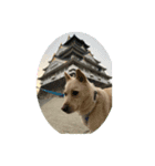 鈴之助（個別スタンプ：2）