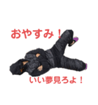 ikki's stamp.№2（個別スタンプ：9）