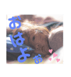 まあさちゃんスタンプ（個別スタンプ：7）