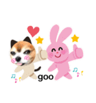 地味なデカチワワ大吉君♡（個別スタンプ：10）