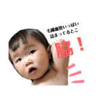どんぐり三兄弟2（個別スタンプ：11）