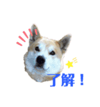 ぱるすたんぷ。（個別スタンプ：2）