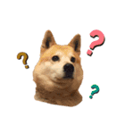 ぱるすたんぷ。（個別スタンプ：14）