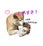 ぱるすたんぷ。（個別スタンプ：15）