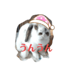 アリスうさぎ まいにち使えることば 32個（個別スタンプ：24）
