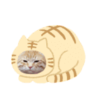 あるぱかっそのねこねこすたんぷ（個別スタンプ：6）