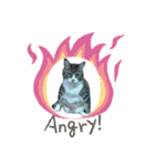 あるぱかっそのねこねこすたんぷ（個別スタンプ：8）