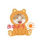 あるぱかっそのねこねこすたんぷ（個別スタンプ：9）