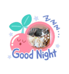 あるぱかっそのねこねこすたんぷ（個別スタンプ：10）