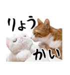 吾輩は靴下ねこである。（個別スタンプ：4）