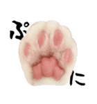 吾輩は靴下ねこである。（個別スタンプ：9）