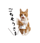 吾輩は靴下ねこである。（個別スタンプ：26）