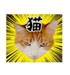 吾輩は靴下ねこである。（個別スタンプ：36）