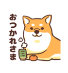 柴犬さんのスタンプ【毎日使える】（個別スタンプ：10）